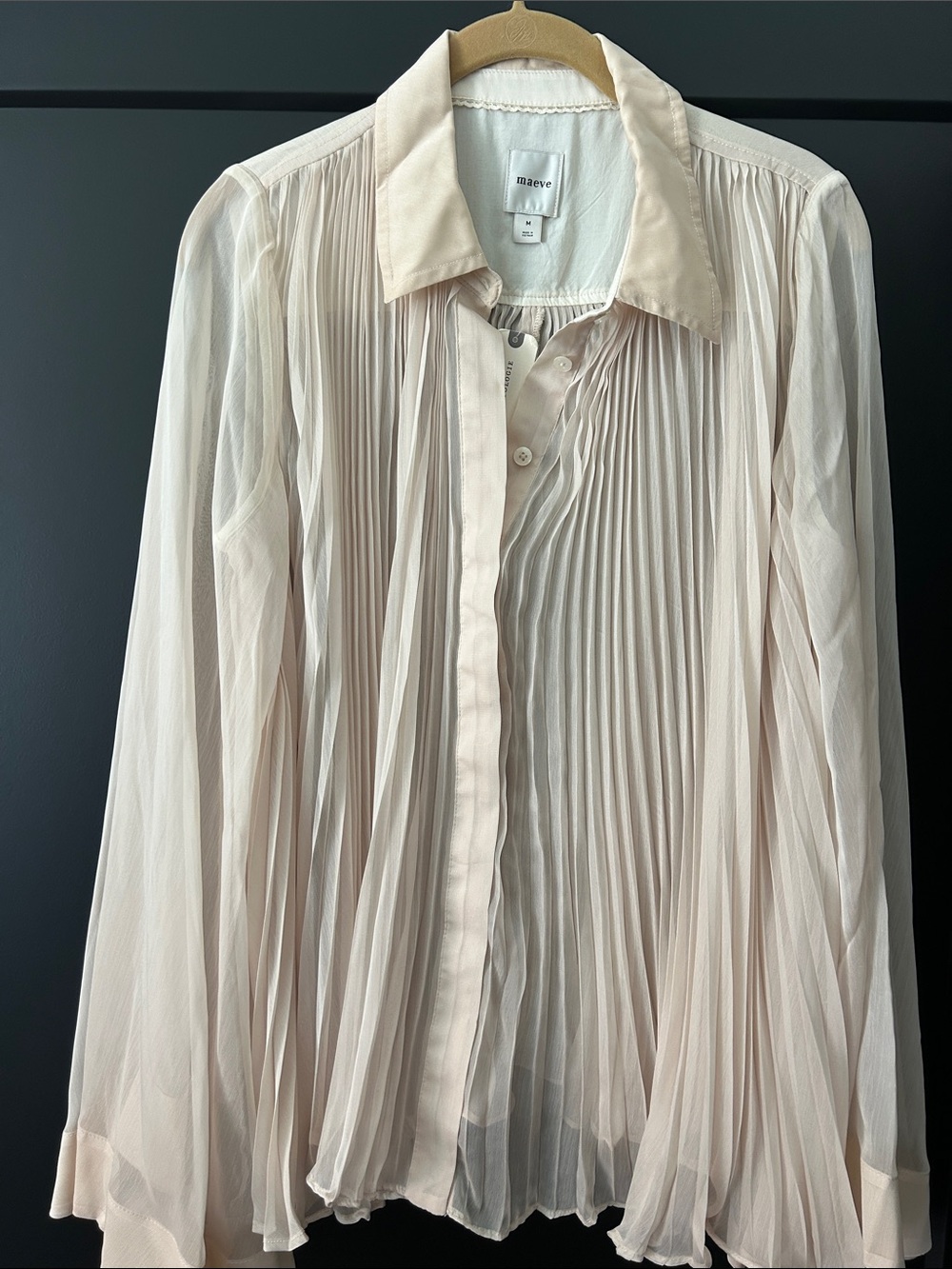 Maeve Pleated Sheer Button-Front Blouse in Pale Blush